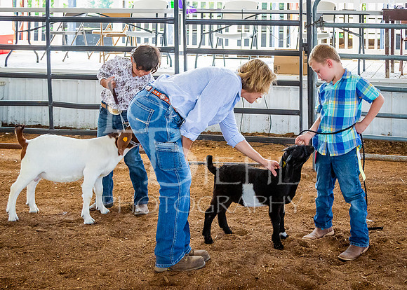 2024-07-12 LCF Open Breeding Goat Show #1 - LB-219