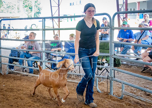 2024-07-12 LCF Open Breeding Goat Show #1 - LB-71