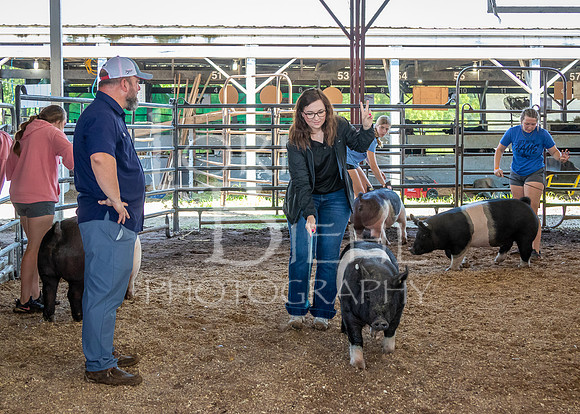 2024-07-10 LCF Livestock Judging #1 - LB-54