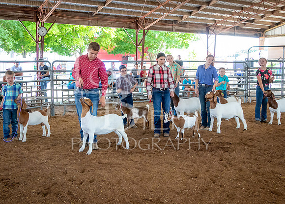 2024-07-12 LCF Open Breeding Goat Show #1 - LB-120