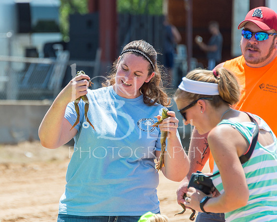 20160716-DSC_5269