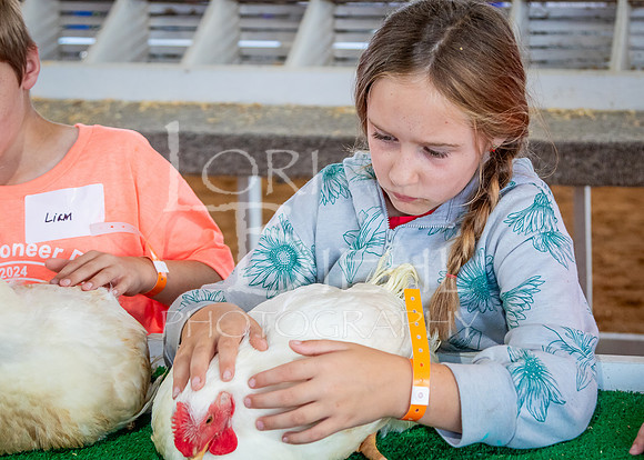 2024-07-08 LCF Jr. Poultry Show #1 - LB-7