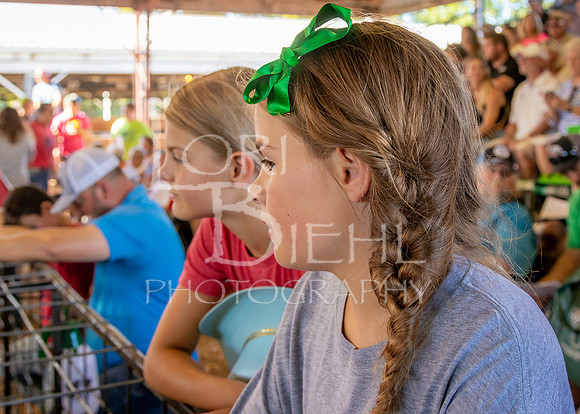 2022-07-12 LCF Jr. Swine Show #1-LB-27