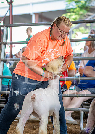 2024-07-10 LCF Jr. Sheep Show #1 - CH-25