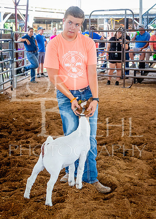 2024-07-10 LCF Jr. Goat Show #1 - LB-41