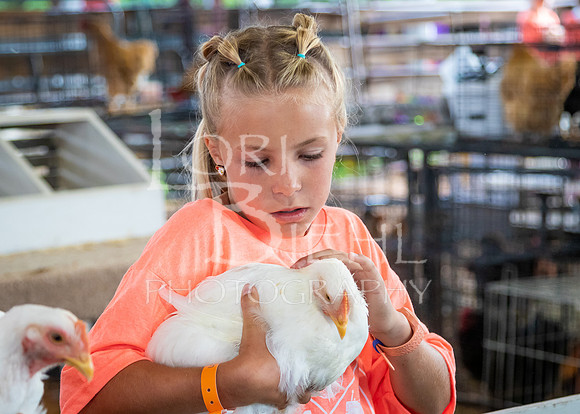 2024-07-08 LCF Jr. Poultry Show #1 - LB-13