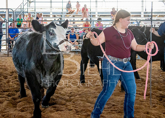 2024-07-10 LCF Master Showmanship #1 - LB-10