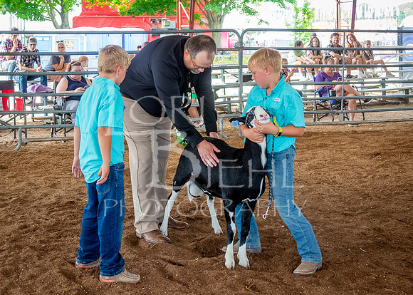 2024-07-13 LCF Open Breeding Sheep Show #1 - LB-23