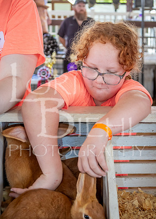2024-07-08 LCF Jr. Rabbit Show #1 - LB-11
