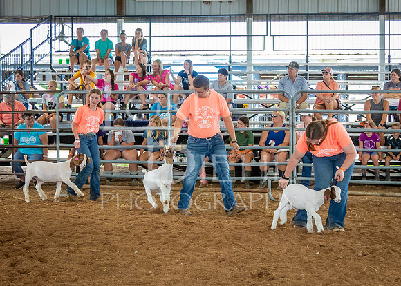 2024-07-10 LCF Jr. Goat Show #1 - LB-63