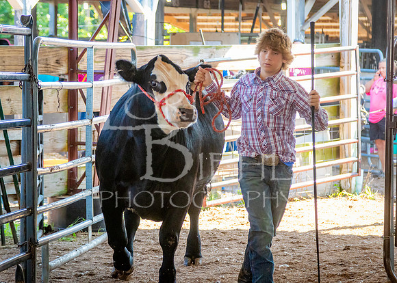 2024-07-10 LCF Master Showmanship #1 - LB-7