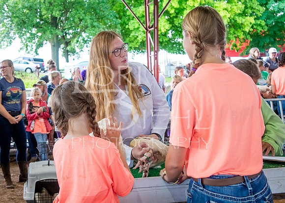 2024-07-08 LCF Jr. Poultry Show #1 - LB-5