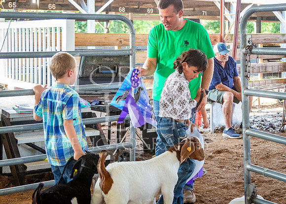 2024-07-12 LCF Open Breeding Goat Show #1 - LB-230