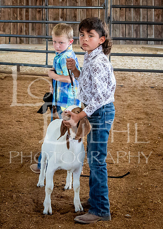 2024-07-12 LCF Open Breeding Goat Show #1 - LB-222
