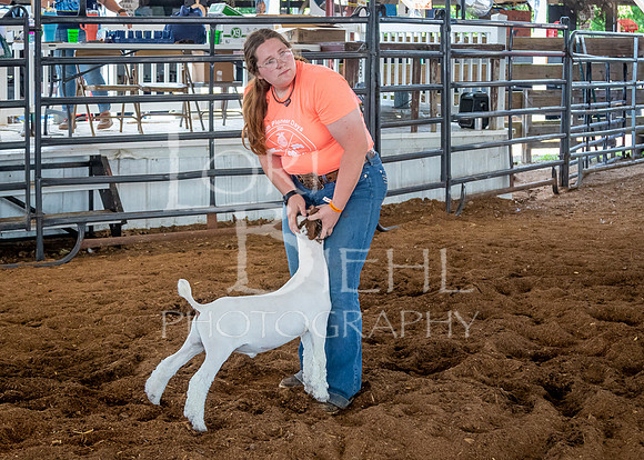 2024-07-10 LCF Jr. Goat Show #1 - LB-30