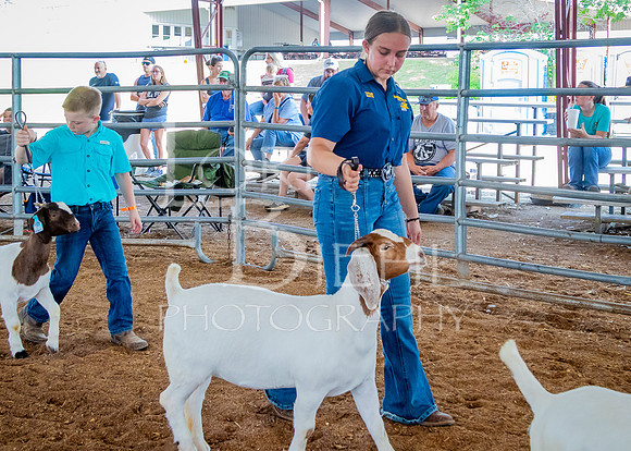 2024-07-12 LCF Open Breeding Goat Show #1 - LB-69
