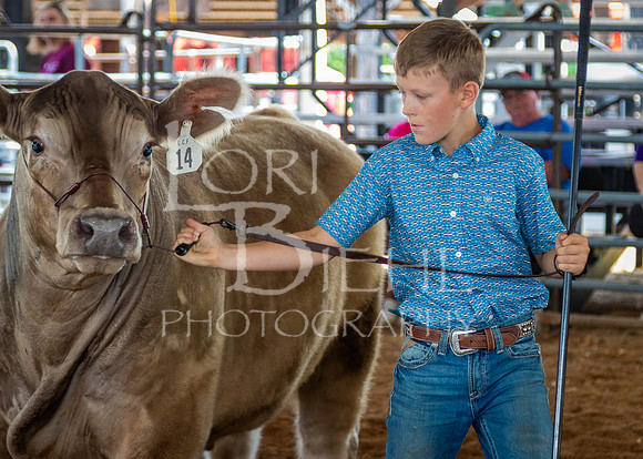 2024-07-11 LCF Jackpot Steer Show #1 - LB-28