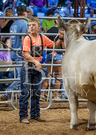 2024-07-10 LCF Jr. Steer Show #1 - CH-22