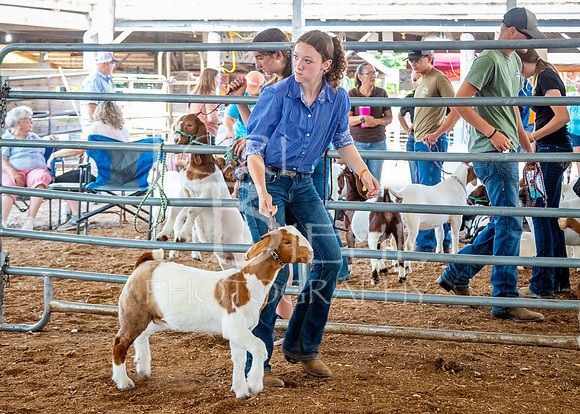 2024-07-12 LCF Open Breeding Goat Show #1 - LB-87
