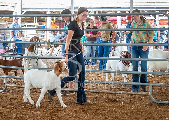 2024-07-12 LCF Open Breeding Goat Show #1 - LB-89