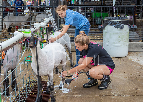 2021-07-15 LCF Livestock Auction Flag Ceremony & Misc - LB-4