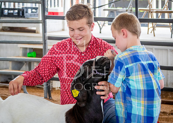 2024-07-12 LCF Open Breeding Goat Show #1 - LB-159
