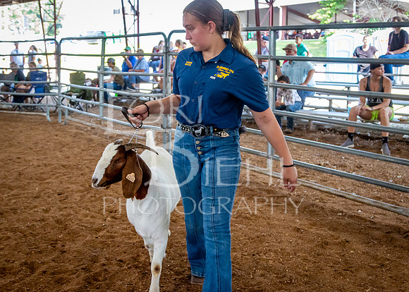 2024-07-12 LCF Open Breeding Goat Show #1 - LB-132