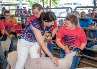 2022-07-13 LCF Jr. Lamb Show #1-LB-5