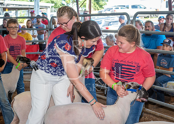 2022-07-13 LCF Jr. Lamb Show #1-LB-5
