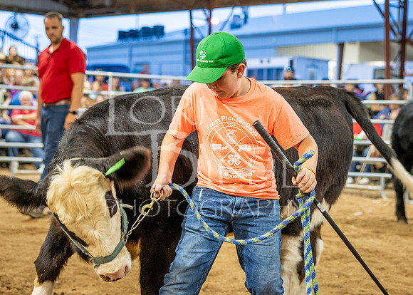 2024-07-10 LCF Jr. Steer Show #1 - CH-39