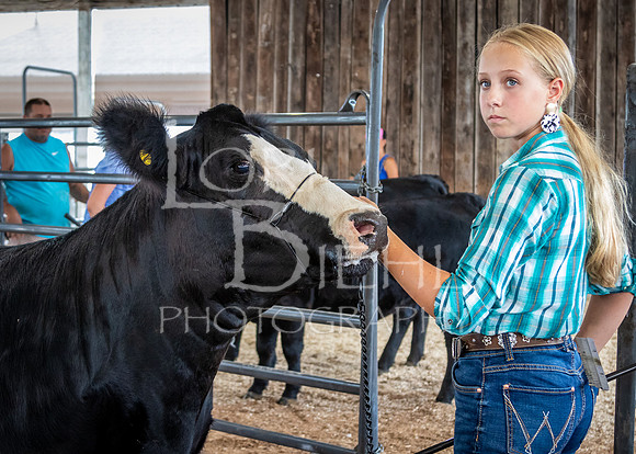 2024-07-12 LCF Open Breeding Cattle Show #1 - LB-68