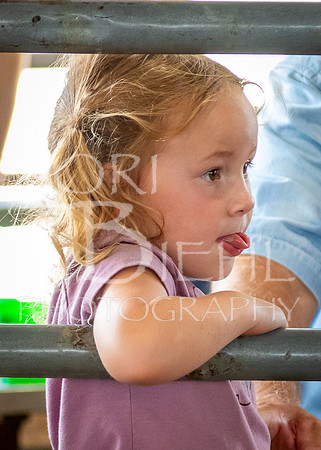 2024-07-12 LCF Open Breeding Swine Show #1 - LB-31