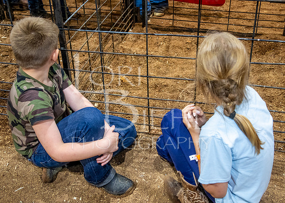 2024-07-09 LCF Misc. Shots & Swine Show - LB-3