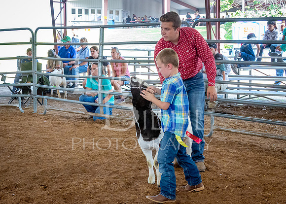 2024-07-12 LCF Open Breeding Goat Show #1 - LB-189