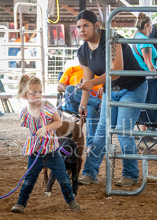 2024-07-12 LCF Open Breeding Goat Show #1 - LB-2