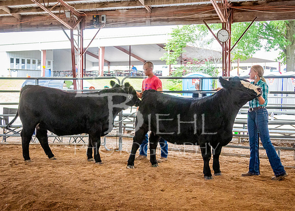 2024-07-12 LCF Open Breeding Cattle Show #1 - LB-83