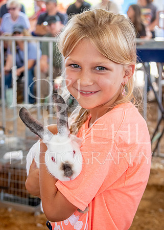 2024-07-08 LCF Jr. Rabbit Show #1 - LB-47