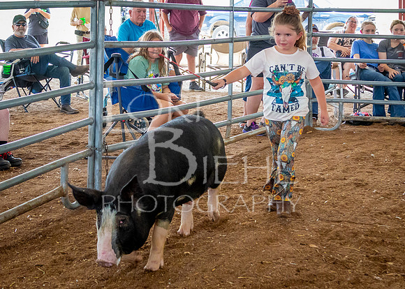 2024-07-12 LCF Open Breeding Swine Show #1 - LB-17