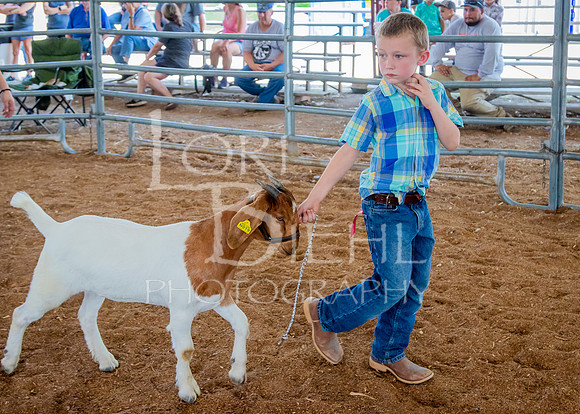 2024-07-12 LCF Open Breeding Goat Show #1 - LB-68