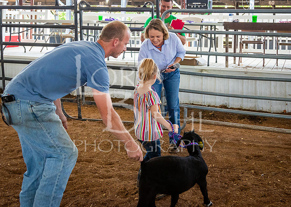 2024-07-12 LCF Open Breeding Goat Show #1 - LB-41
