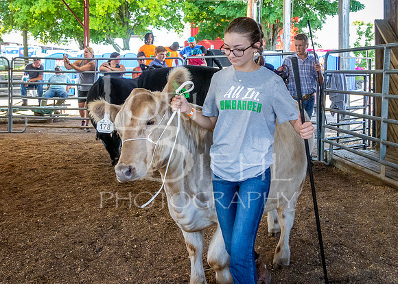 2024-07-10 LCF Master Showmanship #1 - LB-20
