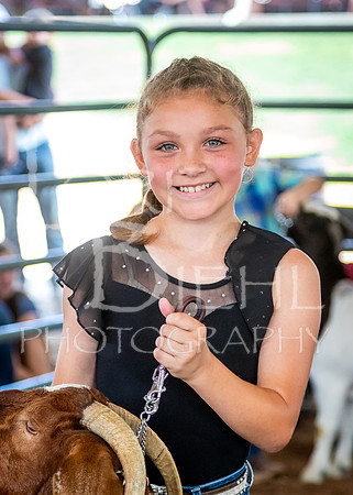 2024-07-12 LCF Open Breeding Goat Show #1 - LB-177