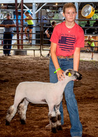 2022-07-13 LCF Jr. Lamb Show #1-LB-15
