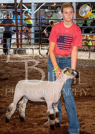2022-07-13 LCF Jr. Lamb Show #1-LB-15