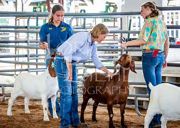 2024-07-12 LCF Open Breeding Goat Show #1 - LB-143