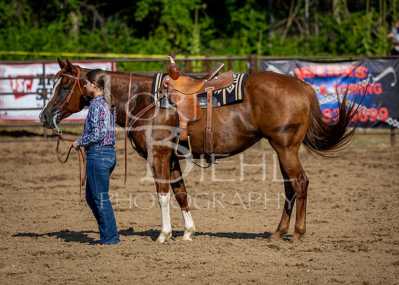 2024-07-11 LCF Open Western Pleasure Horse Show #1 - KR-6