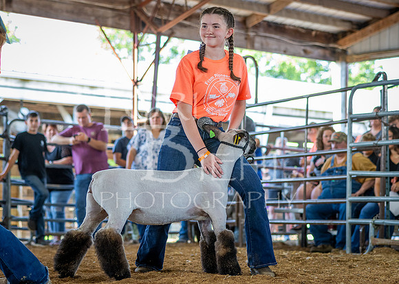 2024-07-10 LCF Jr. Sheep Show #1 - CH-18