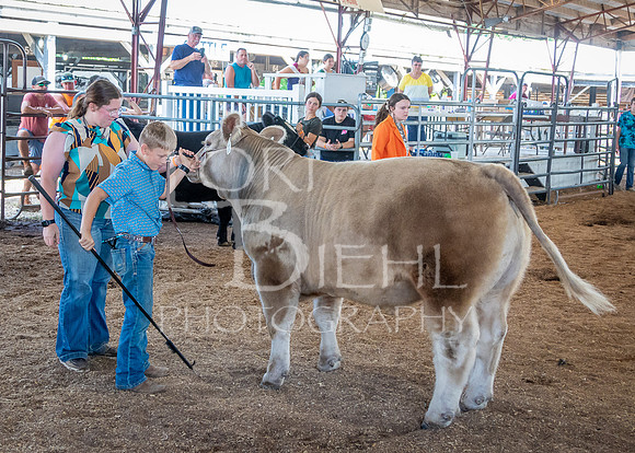 2024-07-11 LCF Jackpot Steer Show #1 - LB-46