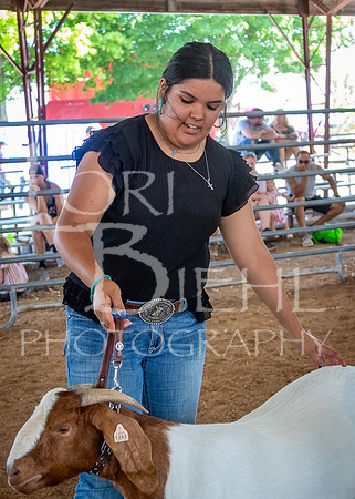 2024-07-12 LCF Open Breeding Goat Show #1 - LB-207