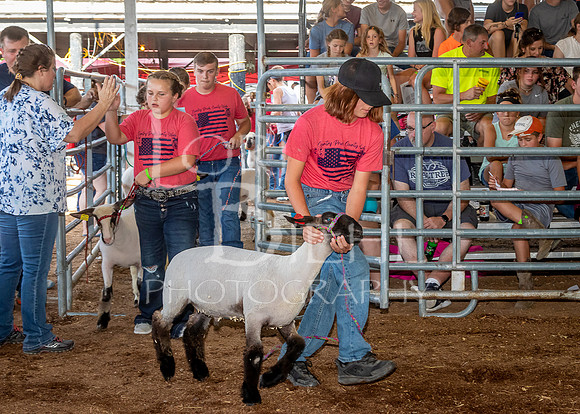 2022-07-13 LCF Jr. Lamb Show #1-LB-33